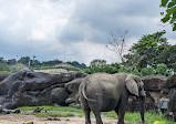 Taipei Zoo