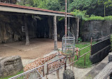 Taipei Zoo