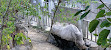 Taipei Zoo Penguin House