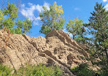 Wilder Institute/Calgary Zoo