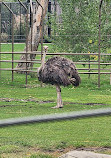 Wilder Institute/Calgary Zoo