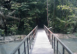 TreeTop Walk