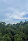 TreeTop Walk