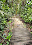 TreeTop Walk