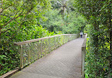 TreeTop Walk