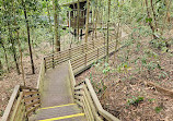 TreeTop Walk