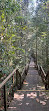 TreeTop Walk