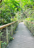 TreeTop Walk