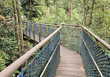 TreeTop Walk