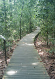 TreeTop Walk