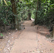 TreeTop Walk