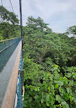 TreeTop Walk