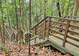 TreeTop Walk