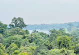 TreeTop Walk