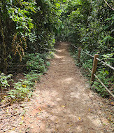 TreeTop Walk