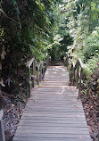 TreeTop Walk