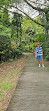 TreeTop Walk