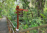 TreeTop Walk