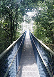 TreeTop Walk