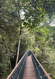 TreeTop Walk