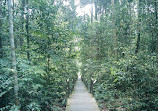 TreeTop Walk