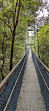 TreeTop Walk