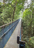 TreeTop Walk