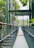 TreeTop Walk