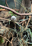 Nashville Zoo at Grassmere