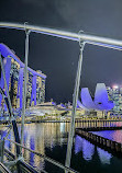 The Helix (Helix Bridge)