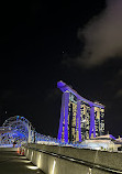 The Helix (Helix Bridge)