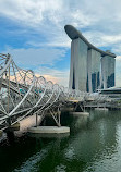 The Helix (Helix Bridge)