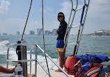 Atlantic City Parasail