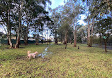 Richard Podmore Dog Park