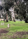 Richard Podmore Dog Park