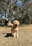 Richard Podmore Dog Park