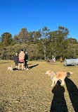 Padstow Off Leash Dogs Park