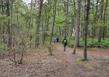 Cattus Island County Park