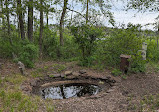 Cattus Island County Park