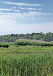 Cattus Island County Park