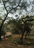 Mehrauli Archaeological Park