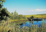 Beaver Swamp Fish and Wildlife Management Area