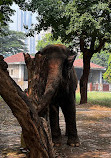 Byculla Zoo Ticket Counter