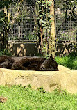 Shanghai Zoo Entering Type Birds Paradise