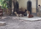 Shanghai Zoo Entering Type Birds Paradise