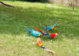 Shanghai Zoo Entering Type Birds Paradise