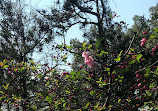 Shanghai Zoo Entering Type Birds Paradise