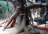 Shanghai Zoo Entering Type Birds Paradise