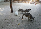 Shanghai Zoo Entering Type Birds Paradise