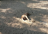 Shanghai Zoo Entering Type Birds Paradise